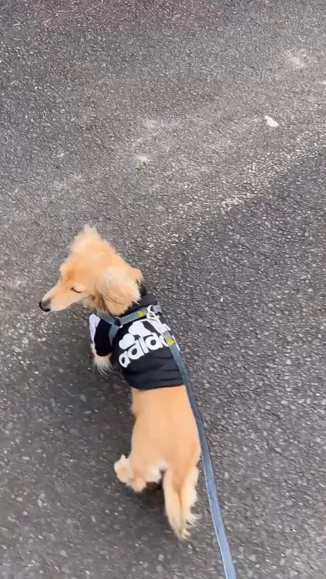 ＊＊ ロー君 バースデー ＊＊